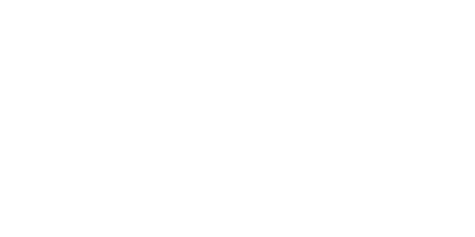 MAAG logo