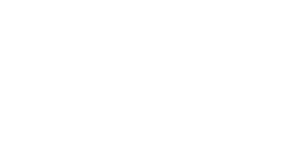 Bag Along logo