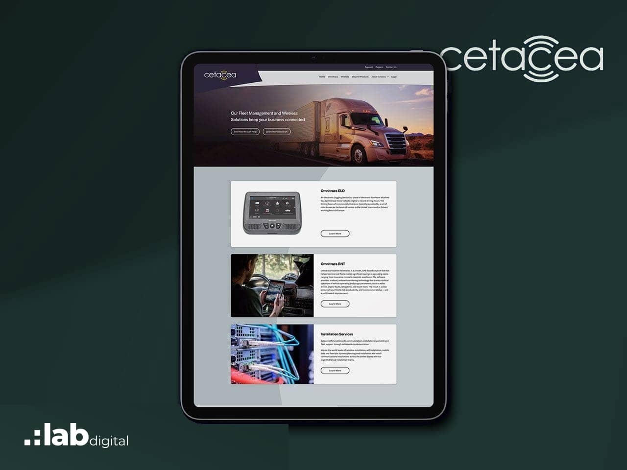 Cetacea Sound website designed by Lab Digital